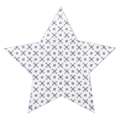 Mara's Star Painted Canvas Whimsy & Grace