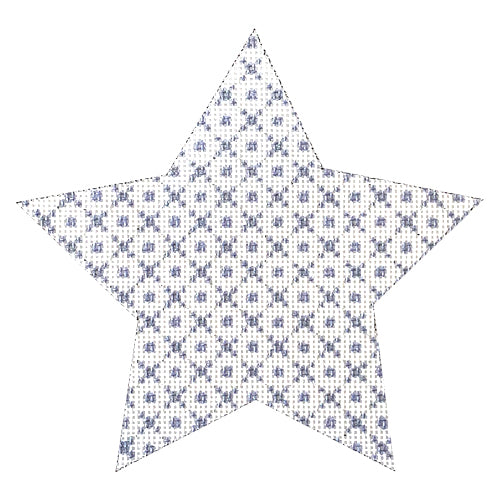 Mara's Star Painted Canvas Whimsy & Grace

