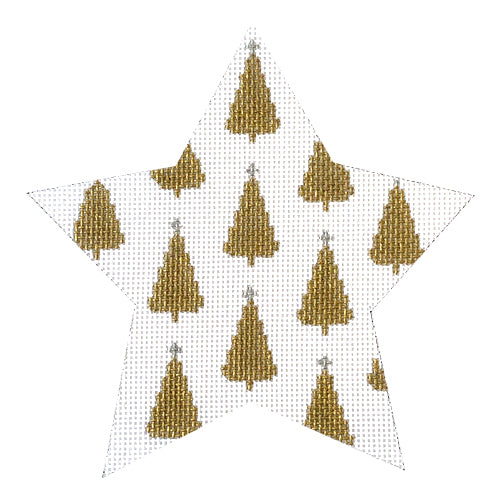 Marlee's Star 13 mesh Painted Canvas Whimsy & Grace