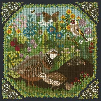 Meadow Needlepoint Kit Kits Elizabeth Bradley Design Black 
