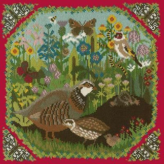 Meadow Needlepoint Kit Kits Elizabeth Bradley Design Bright Red 
