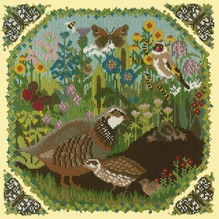 Meadow Needlepoint Kit Kits Elizabeth Bradley Design Butter Yellow 
