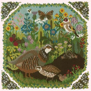 Meadow Needlepoint Kit Kits Elizabeth Bradley Design Cream 
