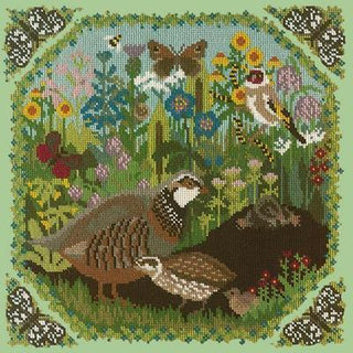 Meadow Needlepoint Kit Kits Elizabeth Bradley Design Pale Green 
