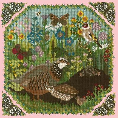 Meadow Needlepoint Kit Kits Elizabeth Bradley Design Pale Rose 

