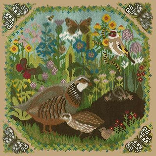 Meadow Needlepoint Kit Kits Elizabeth Bradley Design Sand 
