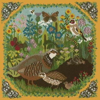 Meadow Needlepoint Kit Kits Elizabeth Bradley Design Yellow 
