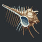 Mermaids Comb Needlepoint Kit Kits Elizabeth Bradley Design Black 