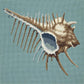 Mermaids Comb Needlepoint Kit Kits Elizabeth Bradley Design Pale Blue 