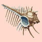 Mermaids Comb Needlepoint Kit Kits Elizabeth Bradley Design Salmon Pink 