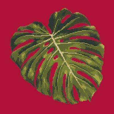 Monstera Leaf Needlepoint Kit Kits Elizabeth Bradley Design Bright Red 

