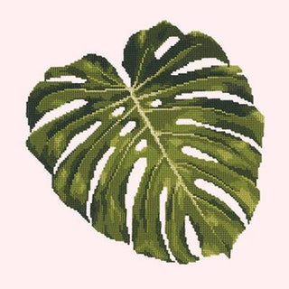 Monstera Leaf Needlepoint Kit Kits Elizabeth Bradley Design Cream 
