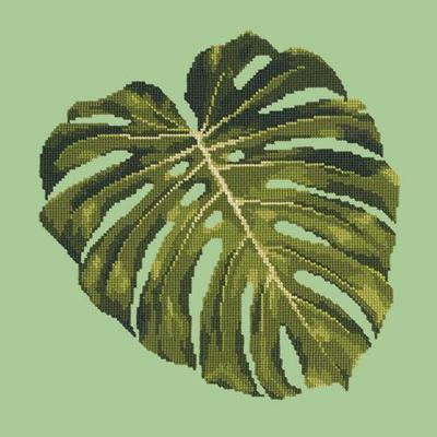 Monstera Leaf Needlepoint Kit Kits Elizabeth Bradley Design Pale Green 
