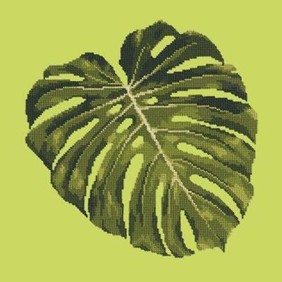 Monstera Leaf Needlepoint Kit Kits Elizabeth Bradley Design Pale Lime 
