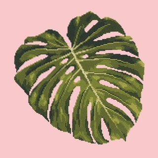 Monstera Leaf Needlepoint Kit Kits Elizabeth Bradley Design Pale Rose 
