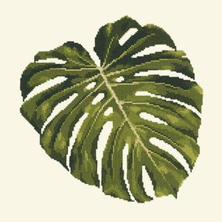 Monstera Leaf Needlepoint Kit Kits Elizabeth Bradley Design Winter White 
