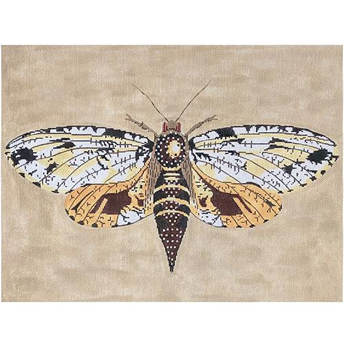 Moth - Brown/Yellow/Gold Painted Canvas The Meredith Collection 