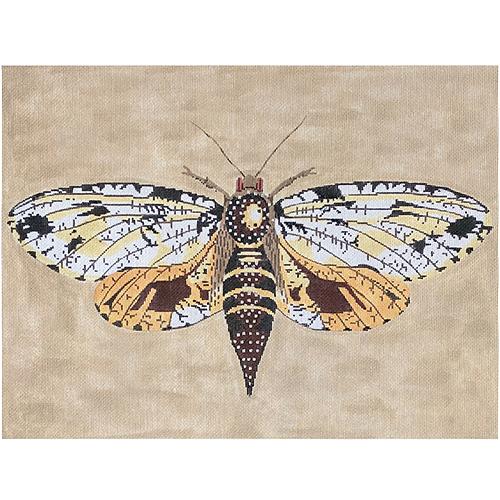 Moth   Brown/Yellow/Gold Painted Canvas The Meredith Collection  - 1