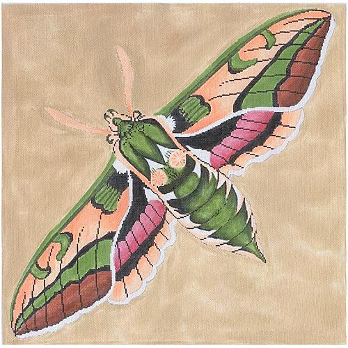 Moth   Green/Pink/Peach Painted Canvas The Meredith Collection  - 1