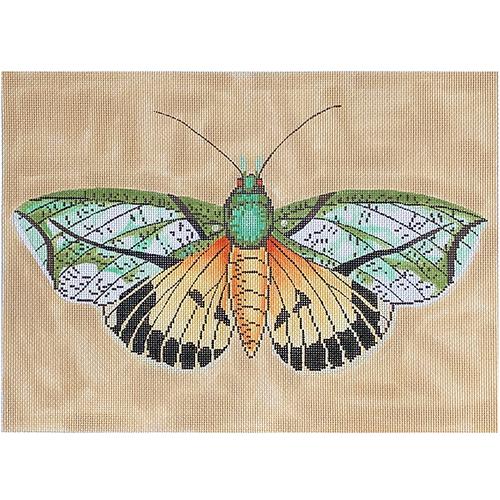 Moth - Orange/Green/Black Painted Canvas The Meredith Collection 