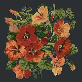 Nasturtium Kits Elizabeth Bradley Design Black 
