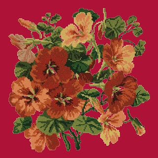 Nasturtium Kits Elizabeth Bradley Design Bright Red 
