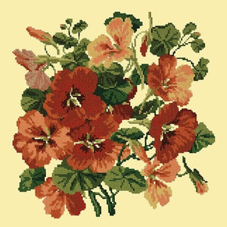 Nasturtium Kits Elizabeth Bradley Design Butter Yellow 

