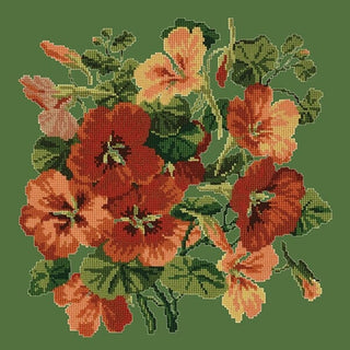 Nasturtium Kits Elizabeth Bradley Design Dark Green 
