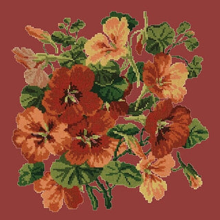 Nasturtium Kits Elizabeth Bradley Design Dark Red 
