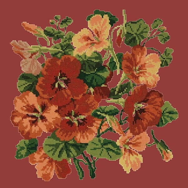 Nasturtium Kits Elizabeth Bradley Design Dark Red 

