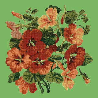 Nasturtium Kits Elizabeth Bradley Design Grass Green 
