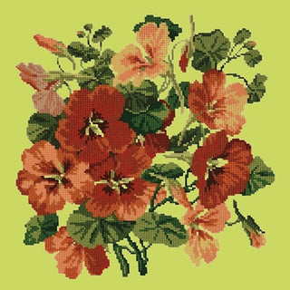 Nasturtium Kits Elizabeth Bradley Design Pale Lime 
