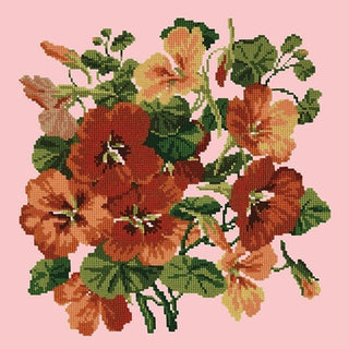 Nasturtium Kits Elizabeth Bradley Design Pale Rose 
