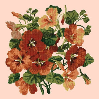 Nasturtium Kits Elizabeth Bradley Design Salmon Pink 
