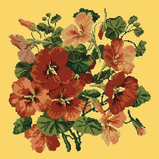 Nasturtium Kits Elizabeth Bradley Design Sunflower Yellow 
