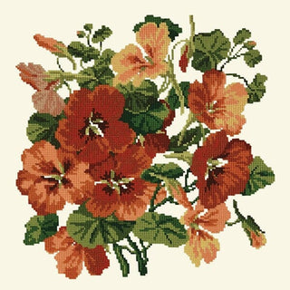 Nasturtium Kits Elizabeth Bradley Design Winter White 
