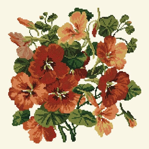 Nasturtium Kits Elizabeth Bradley Design Winter White 
