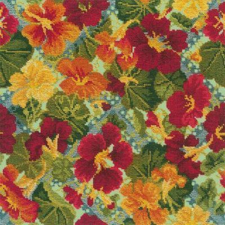 Nasturtium Needlepoint Kit Kits Elizabeth Bradley Design Pale Green 
