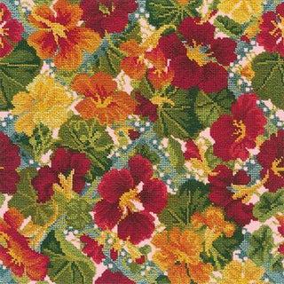 Nasturtium Needlepoint Kit Kits Elizabeth Bradley Design Pale Rose 
