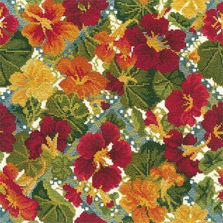 Nasturtium Needlepoint Kit Kits Elizabeth Bradley Design Winter White 
