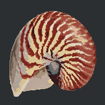 Nautilus Needlepoint Kit Kits Elizabeth Bradley Design Black 
