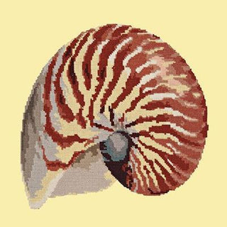 Nautilus Needlepoint Kit Kits Elizabeth Bradley Design Butter Yellow 
