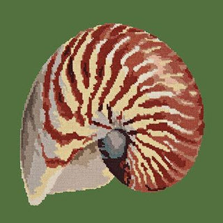 Nautilus Needlepoint Kit Kits Elizabeth Bradley Design Dark Green 
