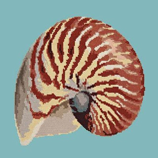 Nautilus Needlepoint Kit Kits Elizabeth Bradley Design Duck Egg Blue 
