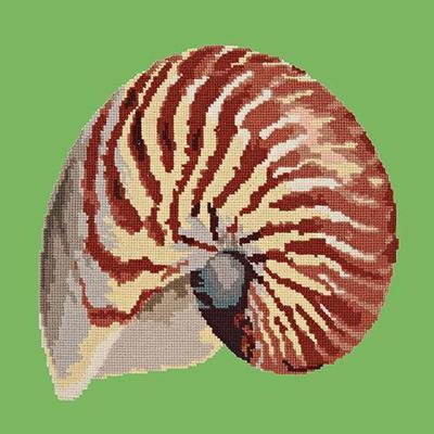 Nautilus Needlepoint Kit Kits Elizabeth Bradley Design Grass Green 
