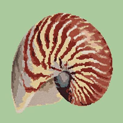 Nautilus Needlepoint Kit Kits Elizabeth Bradley Design Pale Green 
