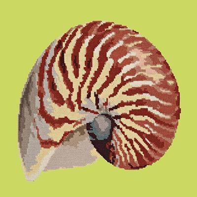 Nautilus Needlepoint Kit Kits Elizabeth Bradley Design Pale Lime 

