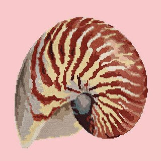 Nautilus Needlepoint Kit Kits Elizabeth Bradley Design Pale Rose 

