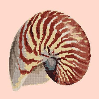 Nautilus Needlepoint Kit Kits Elizabeth Bradley Design Salmon Pink 
