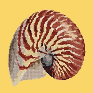 Nautilus Needlepoint Kit Kits Elizabeth Bradley Design Sunflower Yellow 
